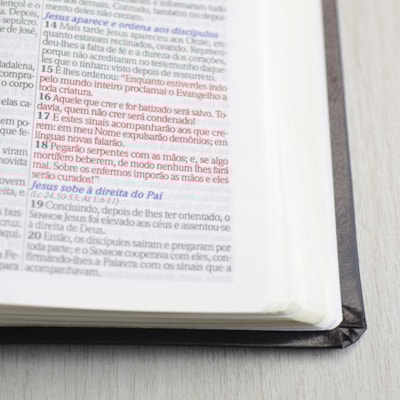 image_dec345f6-751f-450a-a239-46efacecf54d