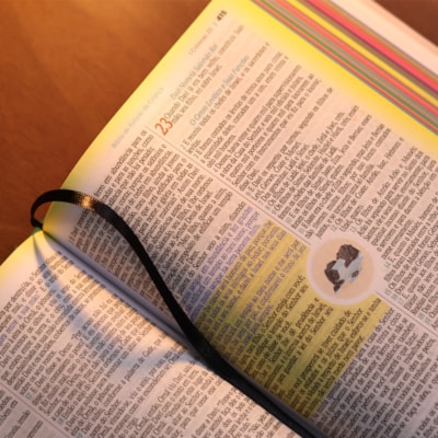 image_c72939ca-ded3-439f-86d3-f66eb5c52698