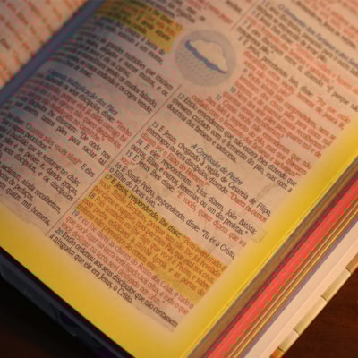 image_410ae5f4-394c-4db3-a927-7e43eebdb35e