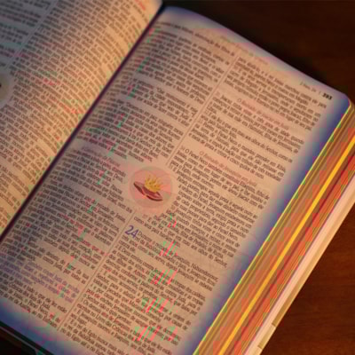 image_0b970e8f-1553-4419-b7e9-77c1b2efee40