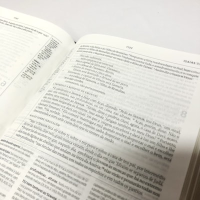 image_0d79b568-6d0b-495a-8655-cba99bb06d08