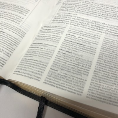 image_30ceada8-3a94-47ee-a5f6-4c11e378a699