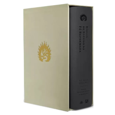 Imagem Principal - 4c5e2203-27f8-4ca3-a3c7-368bc05e8a6e