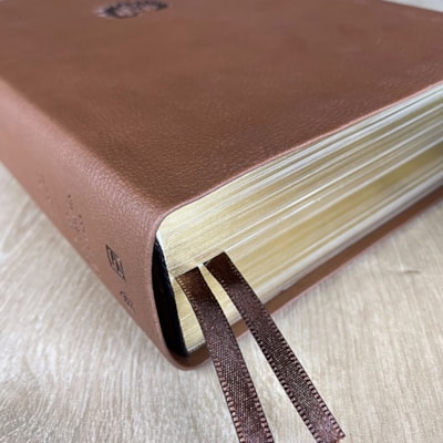 image_4a2a2353-bea6-4385-8838-fad744097911