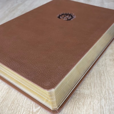 image_64a73faf-21a6-4b82-8219-6ec0c309f553