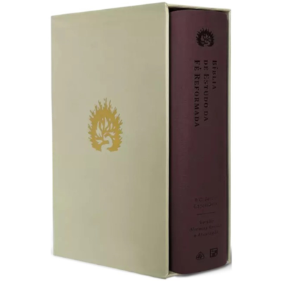 image_967447d2-2fde-421d-9aab-07fdfe26c9ff