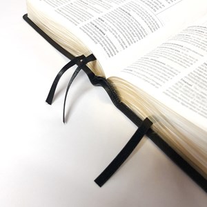 Bíblia de Estudo da Fé Reformada | ARA | Capa Couro com Estojo