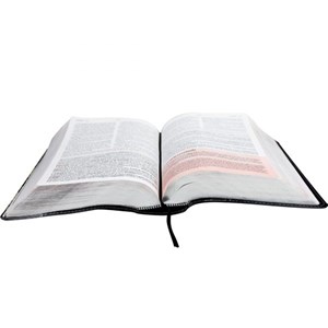Bíblia de Estudo da Mulher Cristã c/ Harpa | Letra Normal | ARC | Preta