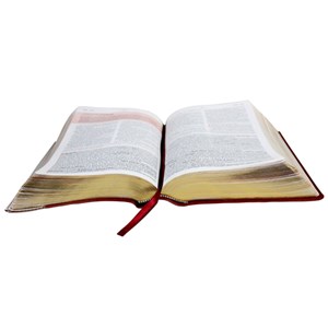 Bíblia de Estudo da Mulher Cristã com Harpa | Letra Normal | ARC | Marrom