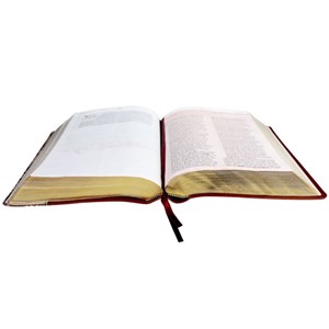 Bíblia de Estudo da Mulher Cristã | Letra Normal | ARC | Couro Marrom