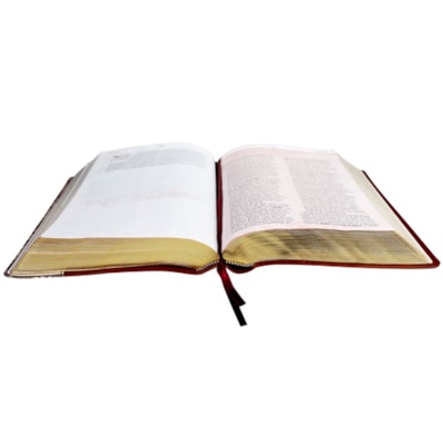 image_6ed2b155-335a-4280-b70d-0e0981ba8ff5