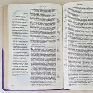Bíblia de Estudo da Mulher de Fé | NVI Letra Normal | c/ Índice