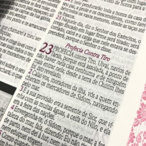 Segunda imagem do produto Bíblia de Estudo da Mulher Sábia | ARC | Harpa Avivada | Capa Bordô