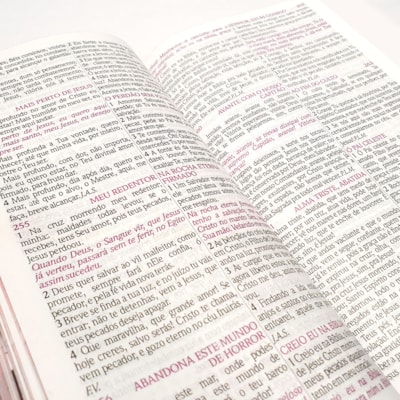 image_6fe2fea5-fc54-49b9-82bf-e73352b588b9