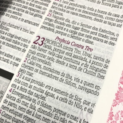 image_fdbecabb-d3d6-41df-80a6-95823ab2a1a5