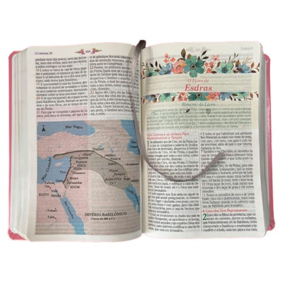 image_3fbd8243-681f-453b-93f4-a2042ac63076