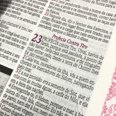 image_3398e6c0-1658-4192-9c66-8b162396eea6