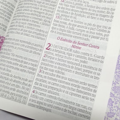 image_01ca7e42-6e93-40e0-9630-c23d5a3273a2