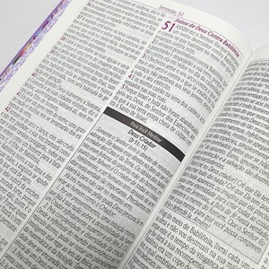 Bíblia de Estudo da Mulher Sábia | ARC | Letra Grande | Capa PU Luxo Ramalhete Lilás