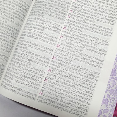 image_fe78c2be-d7dc-4fd6-a22b-8671af34f10d