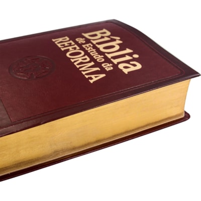 image_08a6b8d4-50fe-463a-8a97-c65caae9c3f2