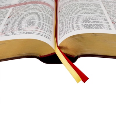 image_d9b639bd-a7f8-4af5-96bf-f1edc0f716e3