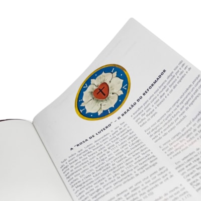 image_4fddc7aa-5d28-40ef-b29f-9e96610fdfee