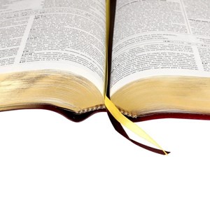 Bíblia de Estudo da Reforma | Letra Normal | ARA | Capa Couro Preta Luxo | c/ Índice