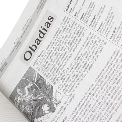 image_b069229c-0ee4-4a0b-8baf-8ee9a7dcc607