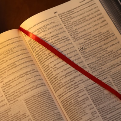 image_3e66d141-5ec9-4c95-b249-cfbb5b66999d