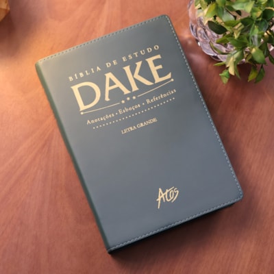 image_e008acc4-75d1-494f-9f7a-a50579d604d0