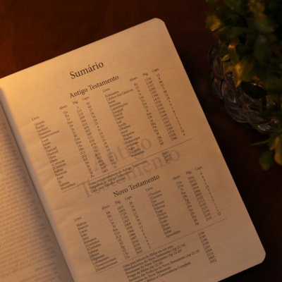 image_d47906dd-511a-430d-9736-c380c01300d7