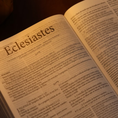 image_8c872562-0b7c-49a2-aaac-932764243ce4