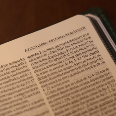 image_f82ab7dc-2062-499f-b215-d2e107ed4c60