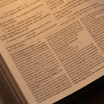 image_86dbf621-c7e5-43e9-9c62-1b021cd4dbb0