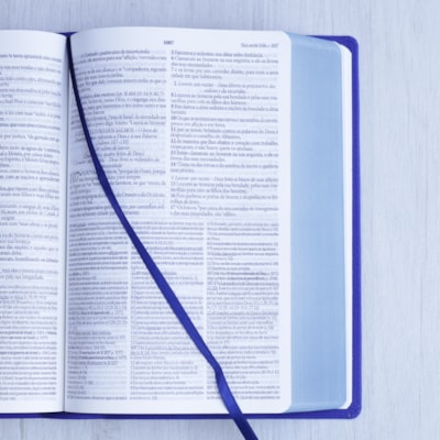 image_fa02b4b5-ed2e-4c93-b42c-58d64734b217