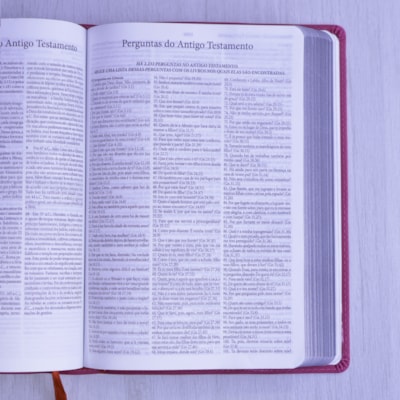 image_dfb93b10-bd6a-40d1-9002-d7f7974364df