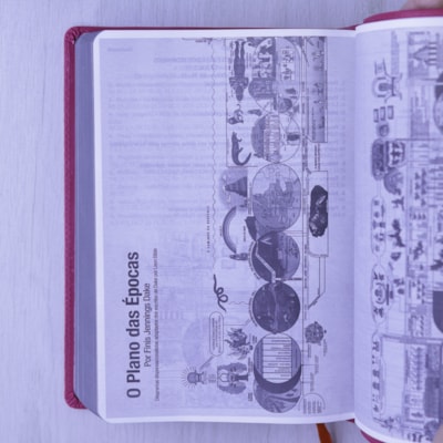 image_af5cb2dd-67f7-4992-8cfb-422fbd1fba28