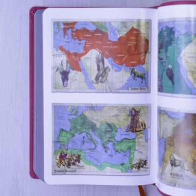 image_ea6a585c-02d6-4487-a375-ed96bedcaf08