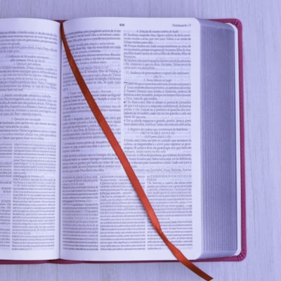 image_2bbaa41f-d8e0-4b27-b651-ad1b478783ad