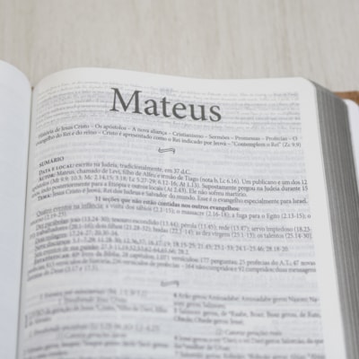 image_14939a7c-11c4-4bb1-b387-132395fdd1b1