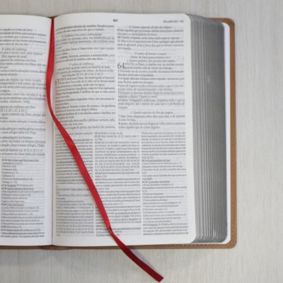 image_bdcf1c7d-c97d-43c9-b49c-0e2e48ac6103