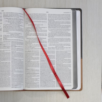 image_8d6fe08f-5695-4dc3-b629-bdaf54ef8f71