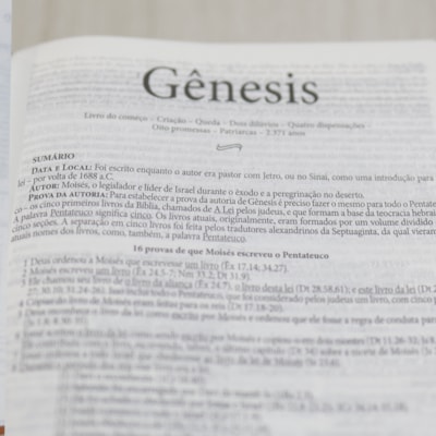 image_da13aec9-ee21-4924-9a74-048ba81eb602