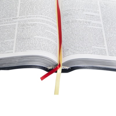 image_abdde39d-c59c-4271-bd8b-56f9505dcaad