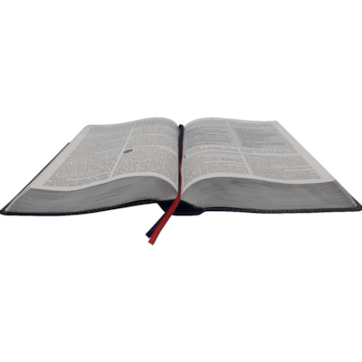 image_f1d5f79d-a5d2-49a0-b640-ed720d3e8e32