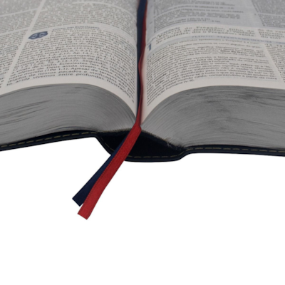 image_371f858d-9981-4cfb-b929-0e28d283ba8e