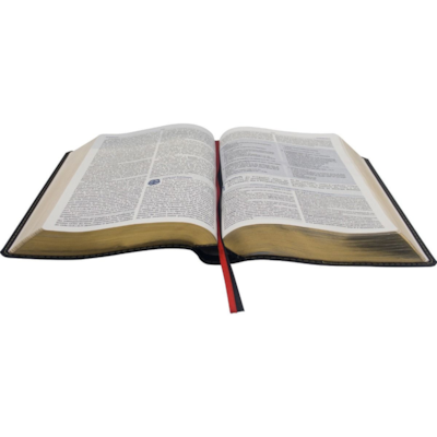 image_76dcb3b9-3e41-4443-b414-4f0e414af039