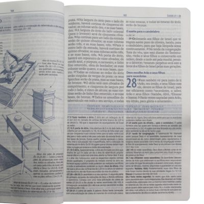 image_03cb3445-a13b-412d-be37-291559739804