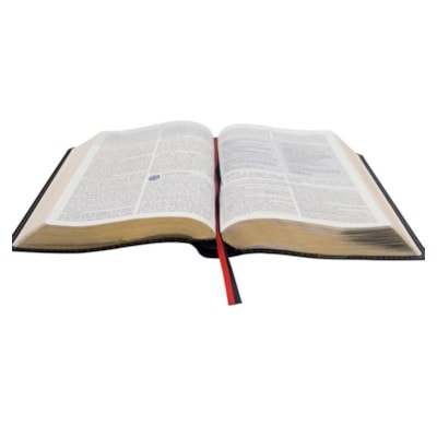 image_dbb7a3fa-8f50-4b62-b905-e2c782702694